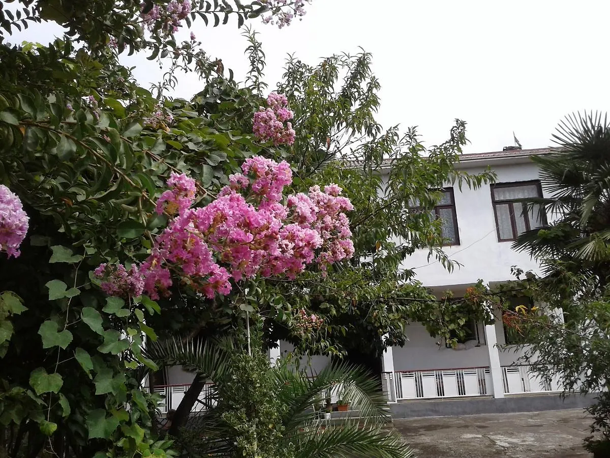 Avto House Hotel Batumi Guest house