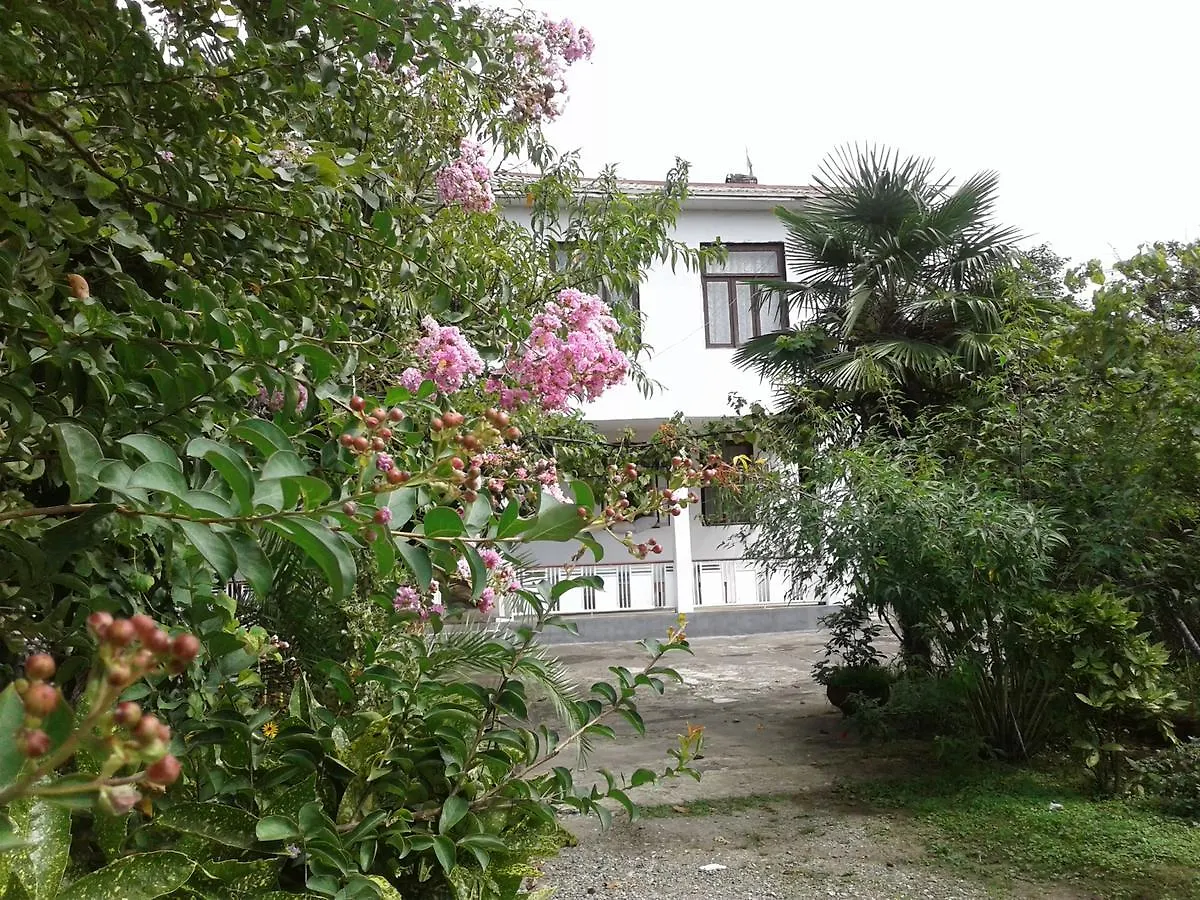 Guest house Avto House Hotel Batumi Georgia